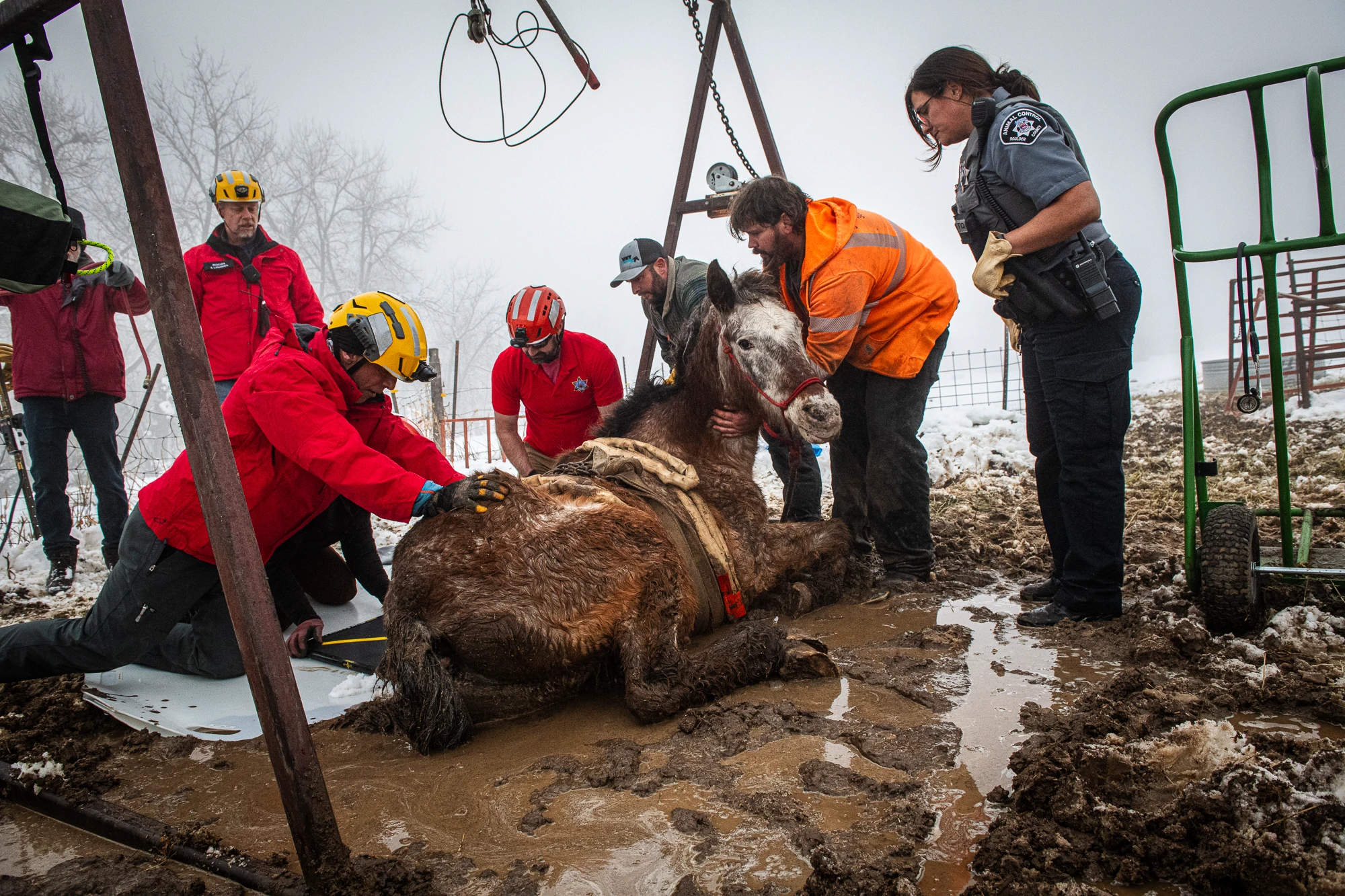Technical Rope Rescue