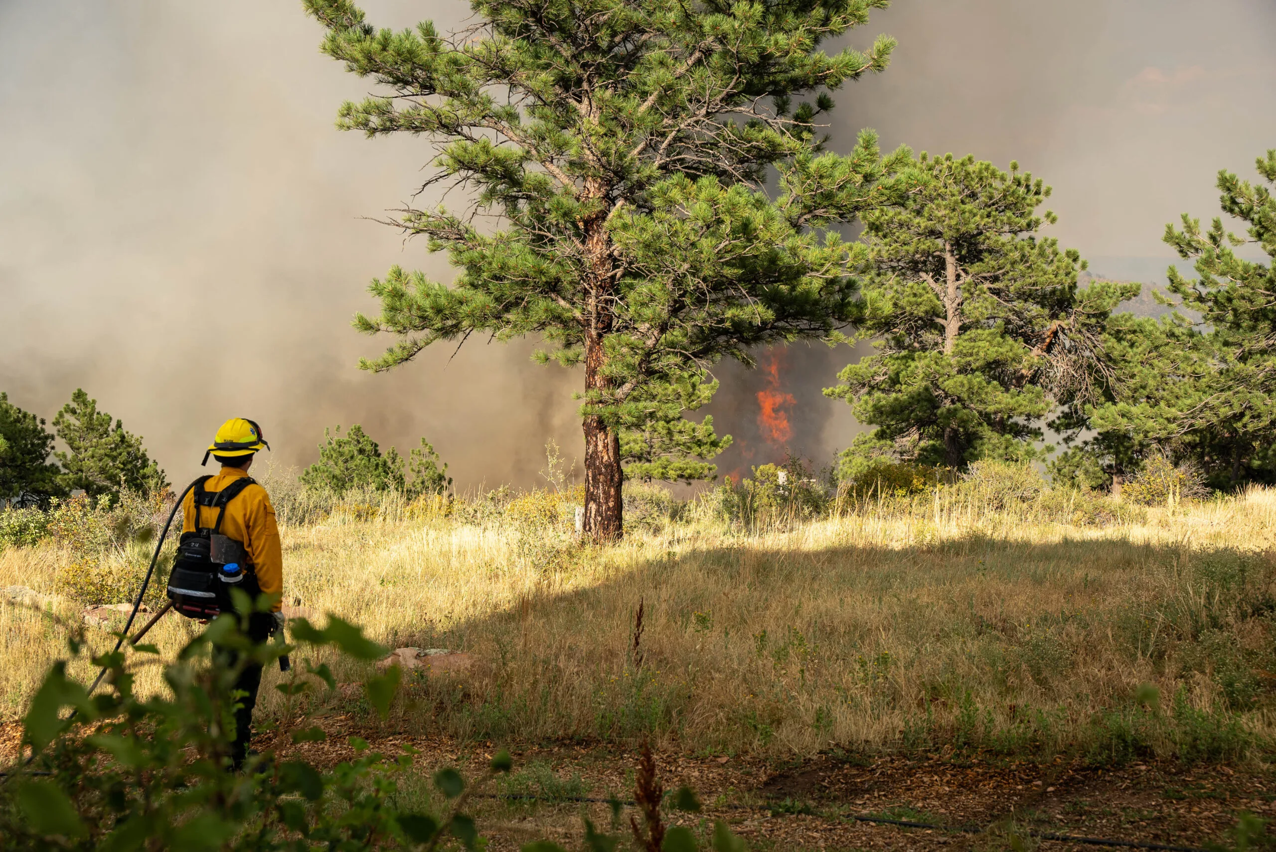 Wildland fire crew