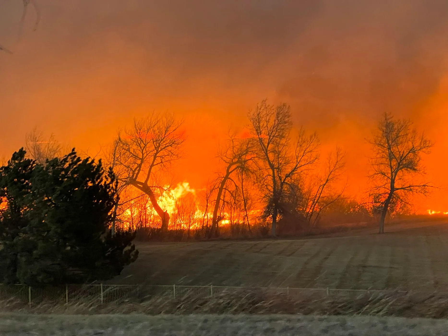 Wildland Fire